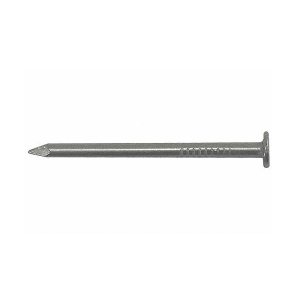 Tree Island Steel 12 in x 3/8 in BRT Smooth Spike Nails