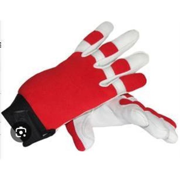 5 Pairs of Watson Gloves #9017RC0 L/G