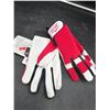 Image 3 : 5 Pairs of Watson Gloves #9017RC0 L/G