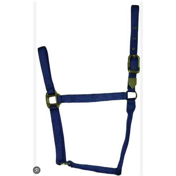 Horse Halter Eco, Full Size, Navy Lot of 4