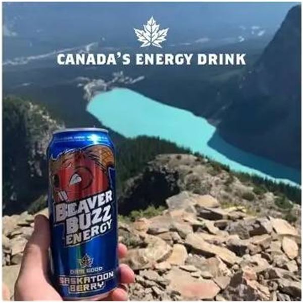 Beaver Buzz Energy Drink 9 x 473ml Cans – Saskatoon Berry Flavor