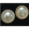 Image 1 : Silver Fresh Water Pearl  Earrings