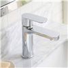 Image 1 : Landon & Co. Single-Handle Bathroom Faucet #280732640
