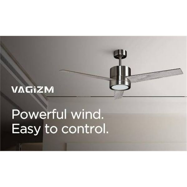 Vagizm 52 Inch DC Motor Ceiling Fan with LED Light and 6 Levels