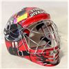 Image 1 : STREET INVASION GOALIE MASK SIZE LARGE