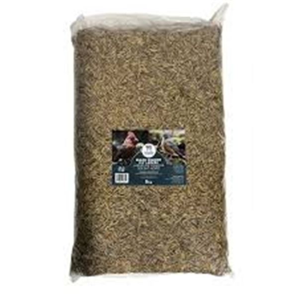 5KG PREMIUM FEEDERS BLACK SOLDIER FLY LARVAE