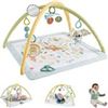 Image 1 : BRAND NEW FISHER-PRICE SIMPLY SENSE NEWBORN GYM
