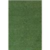Image 1 : NEW ARTIFICIAL GRASS 4 X 6'