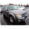 Image 2 : 2009 Ford Escape