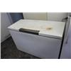 Image 1 : large chest freezer