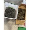 Image 1 : BOX OF COIL NAILS AND BUCKET OF NAILS
