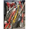 Image 3 : LARGE ASSORTMENT OF HILTI TOOLS AND ACCESSORIES IN TOTE W/ BUILT IN LID