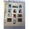 Image 1 : 120 HORSE STAMPS
