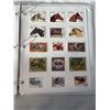 Image 8 : 120 HORSE STAMPS