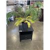 Image 1 : LIVE PALM TREE AND BLACK SIDE TABLE