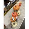 Image 2 : THANKSGIVING PUMPKIN TABLE DISPLAY