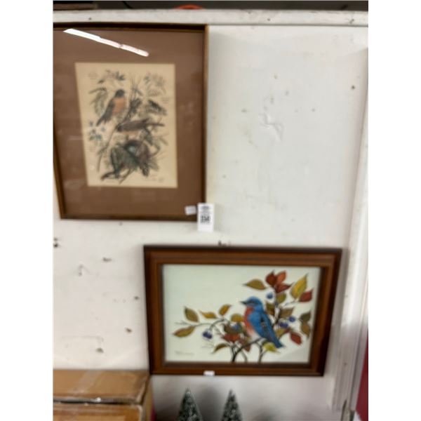 Bird Wall Art - One Signed Schwartzkopf