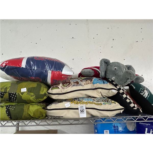 Asst. Sports Team, Souvenir Pillows - Top Shelf