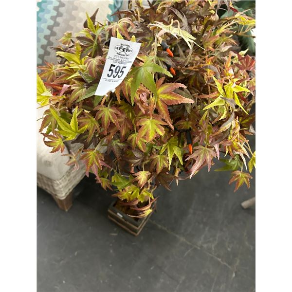 Lighted Fall Tree, Palm Tree 3'