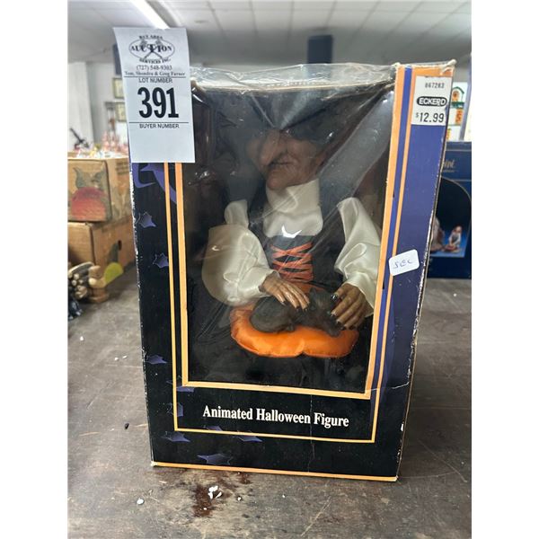 Animated Halloween Witch