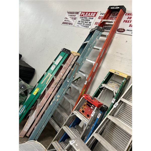 Werner FG Orange  10' Stepladder