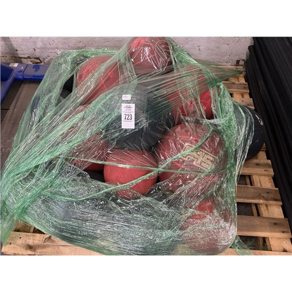 16-Exercise Weight Ball - 16 X $