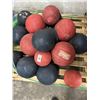 Image 2 : 16-Exercise Weight Ball - 16 X $