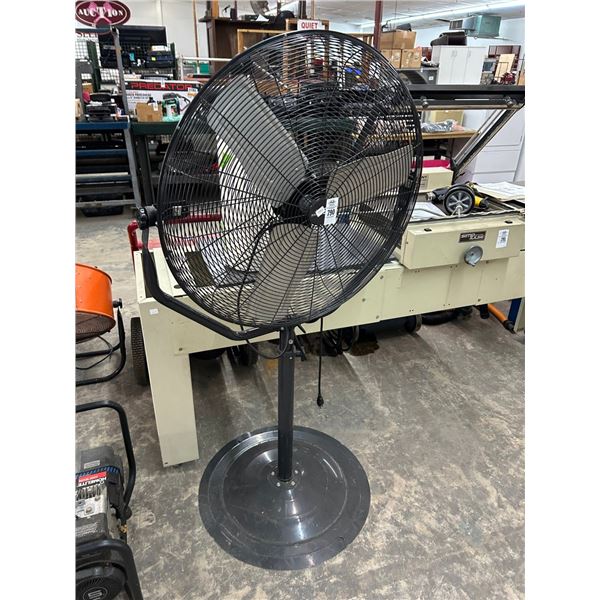 Pedestal Fan