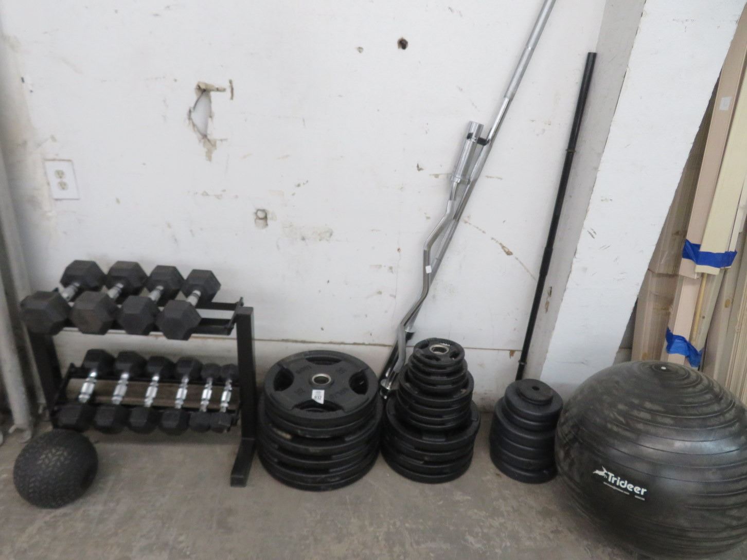 Plate Weights/Bars/Medi Ball/Dumbell Set w/Rack