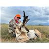 Image 5 : SKIP THE DRAW PROCESS FOR 2026! Trophy Antelope hunt for 1 Hunter with a Landowner Tag Included