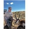 Image 6 : SKIP THE DRAW PROCESS FOR 2026! Trophy Antelope hunt for 1 Hunter with a Landowner Tag Included