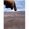 Image 3 : Brooks Range fly in thermal predator Hunting in an area that has never been hunted for predators!
