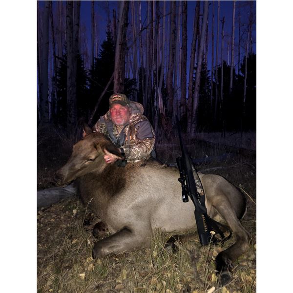New Mexico cow elk hunt for 1 hunter