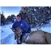 Image 3 : New Mexico cow elk hunt for 1 hunter