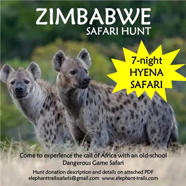 7 night Zimbabwe Hyena Safari for One Hunter Spotted Hyena's can be exported