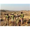Image 3 : 7 night Zimbabwe Hyena Safari for One Hunter Spotted Hyena's can be exported