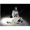 Image 6 : 7 night Zimbabwe Hyena Safari for One Hunter Spotted Hyena's can be exported