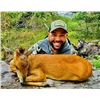Image 10 : 2 hunters 10 days, 2 Impala 2 Blue wildebeest