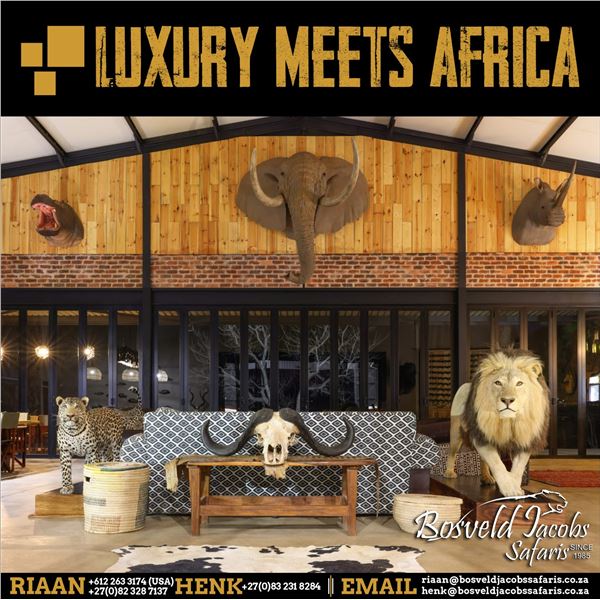 2 hunters 10 days, 2 Impala 2 Blue wildebeest