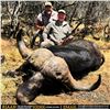Image 2 : 2 hunters 10 days, 2 Impala 2 Blue wildebeest