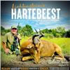 Image 3 : 2 hunters 10 days, 2 Impala 2 Blue wildebeest