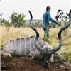 Image 9 : 10-day Double Kudu Hunt for 2 Hunters