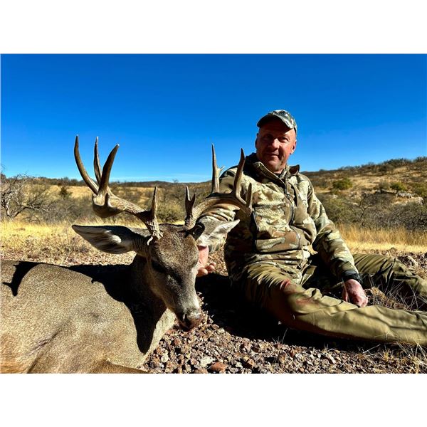 5 day Coues Deer Hunt for 2 Hunters with Diamond Outfitters with Bonus of Mtn Lion
