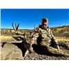 Image 1 : 5 day Coues Deer Hunt for 2 Hunters with Diamond Outfitters with Bonus of Mtn Lion