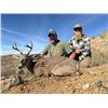 Image 4 : 5 day Coues Deer Hunt for 2 Hunters with Diamond Outfitters with Bonus of Mtn Lion