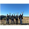 Image 5 : 5 day Coues Deer Hunt for 2 Hunters with Diamond Outfitters with Bonus of Mtn Lion