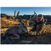 Image 8 : 5 day Coues Deer Hunt for 2 Hunters with Diamond Outfitters with Bonus of Mtn Lion