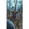Image 6 : 8 day Alberta Archery Rut Moose Hunt for 1 Hunter