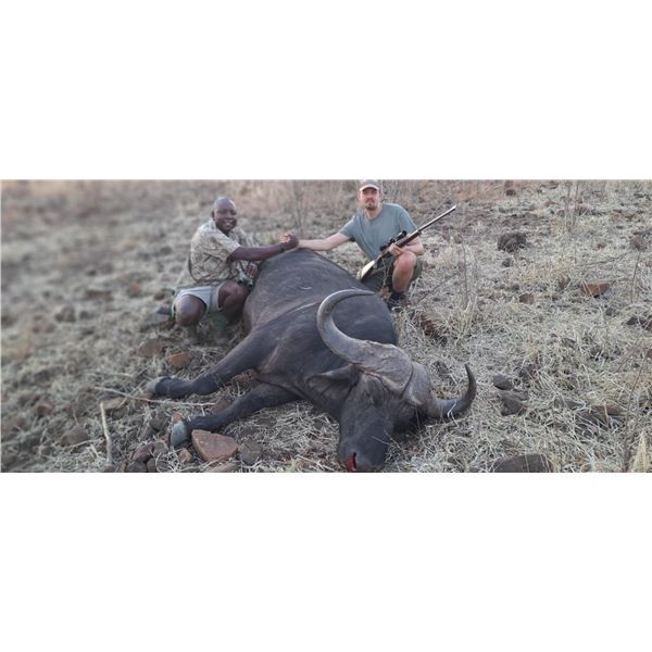 Seven Day Buffalo Safari in Zimbabwe