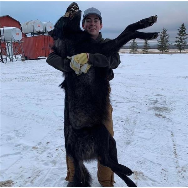 Who's ready for a solo adventure with wolves, and canadian fishing in the peaceful timber country!